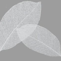 Harvest Leaf Shower Curtain White/Clear - Moda At Home