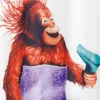 Blow Dryer Monkey Shower Curtain - Allure 1 Blow Dryer Monkey Shower Curtain - Allure -Bathroom Products Store GUEST 65229b48 017c 4ac5 b097 6e07558b43bb