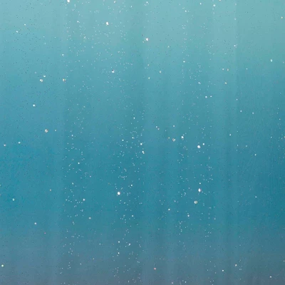 Sparkle Shower Curtain - Allure Home Creations Sparkle Shower Curtain - Allure Home Creations -Bathroom Products Store GUEST 868252db a7ec 40e0 afbc a88b50aeb8d4